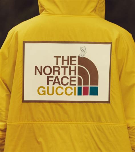 the north face gucci ポケストップ|「The North Face × Gucci」コレクションの着せ替えアイテムが .